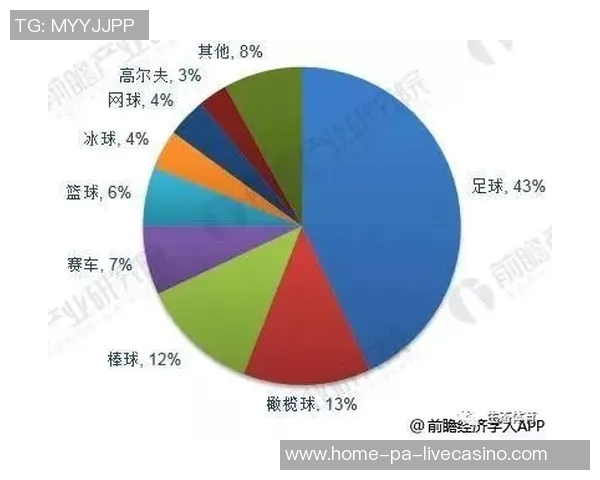 中国足球运动员的成长之路与未来发展展望分析